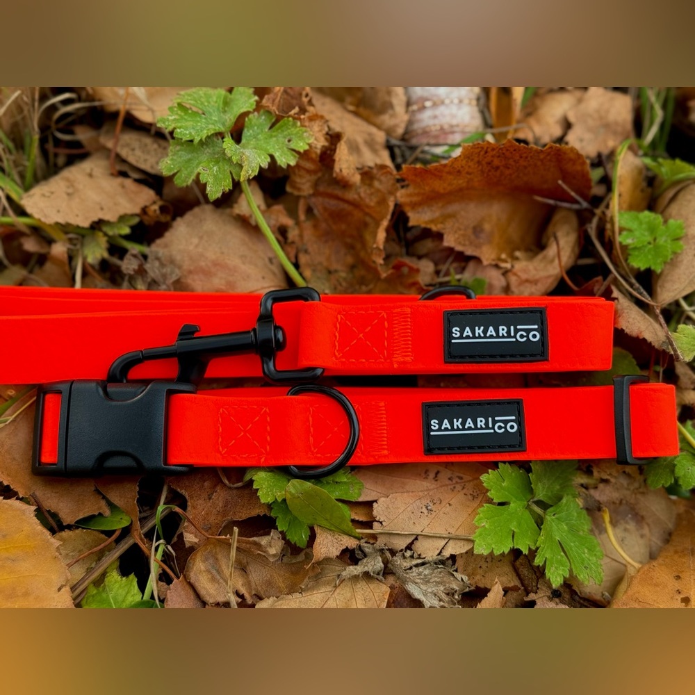 ORANGE SPLASH LEASH - SakariCo